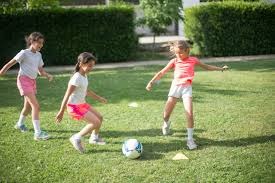 荷兰足协及所有荷兰俱乐部发布声明：呼吁对闹事球迷提起诉讼